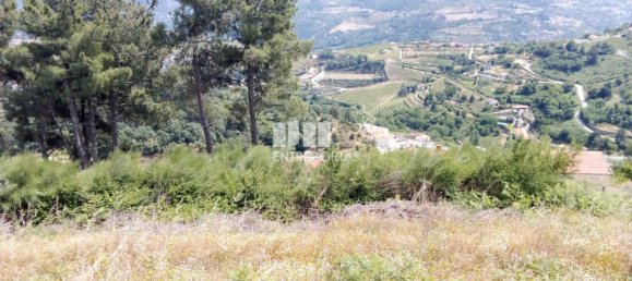 Terreno em Baião, Portugal 6000 m² N.º 55433 9