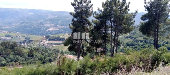 Terreno em Baião, Portugal 6000 m² N.º 55433 3