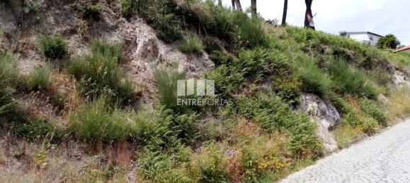 Terreno em Baião, Portugal 6000 m² N.º 55433 20