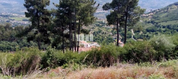 Terreno em Baião, Portugal 6000 m² N.º 55433 4