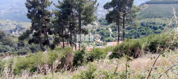 Terreno em Baião, Portugal 6000 m² N.º 55433 5