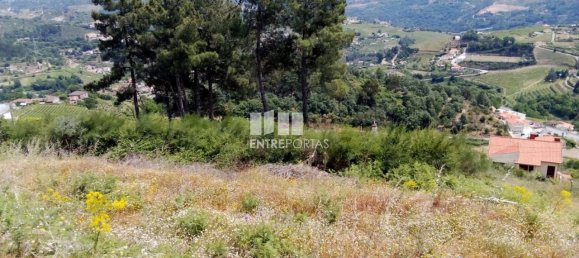 Terreno em Baião, Portugal 6000 m² N.º 55433 10