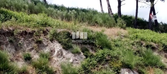 Terreno em Baião, Portugal 6000 m² N.º 55433 22