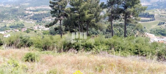 Terreno em Baião, Portugal 6000 m² N.º 55433 12