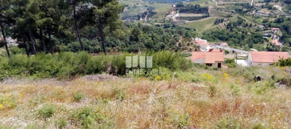 Terreno em Baião, Portugal 6000 m² N.º 55433 11