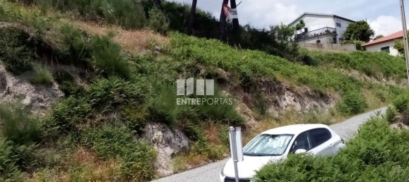 Terreno em Baião, Portugal 6000 m² N.º 55433 24