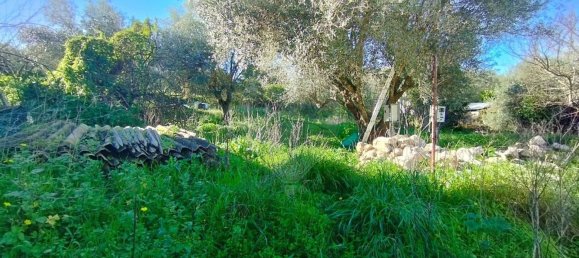 3 Schlafzimmer Haus in Alenquer, Portugal, Nr. 46044 3