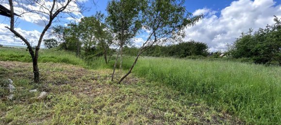 2 Schlafzimmer Haus in Beaulieu-sur-Loire, France, Nr. 65543 3