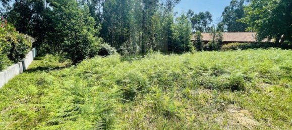 850m² Land in Caminha, Portugal No. 54876 6