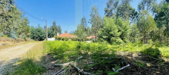 850m² Land in Caminha, Portugal No. 54876 9