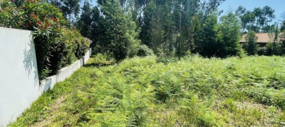 850m² Land in Caminha, Portugal No. 54876 8