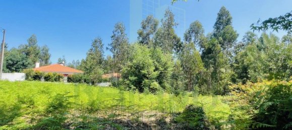 850m² Land in Caminha, Portugal No. 54876 2