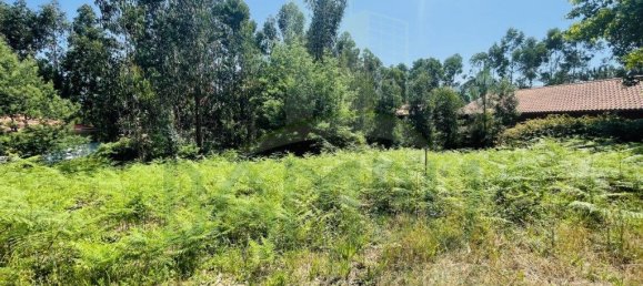 850m² Land in Caminha, Portugal No. 54876 7