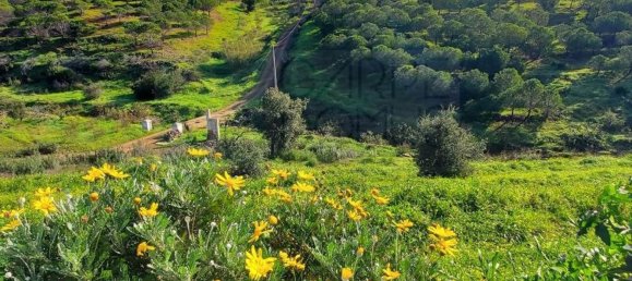 4 غرف نوم منزل في Tavira, Portugal رقم 72451 20