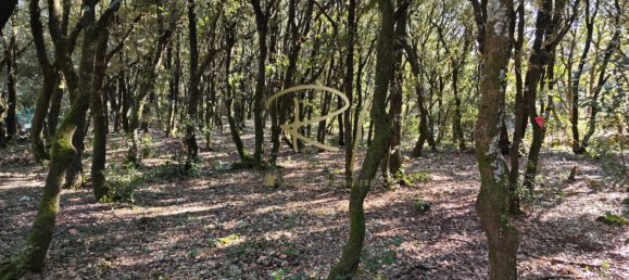 2 chambres Villa à Orgnac-l'Aven, France No. 206399 13