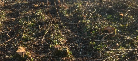  Land in Saarbrucken, Germany No. 292502 2