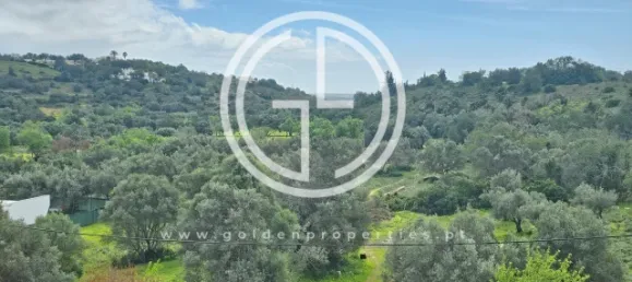 3 غرف نوم منزل في Loule, Portugal رقم 76438 15