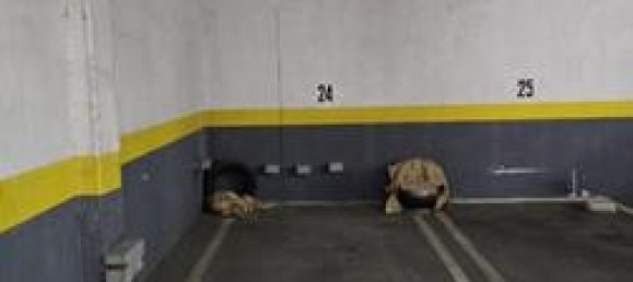  Garage in Madrid, Spain No. 166075 2