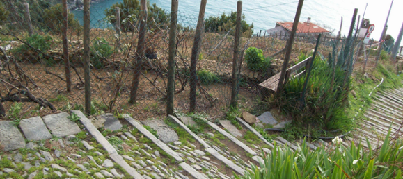 Terreno en Fascia, Italy 75 m² No. 253127 6