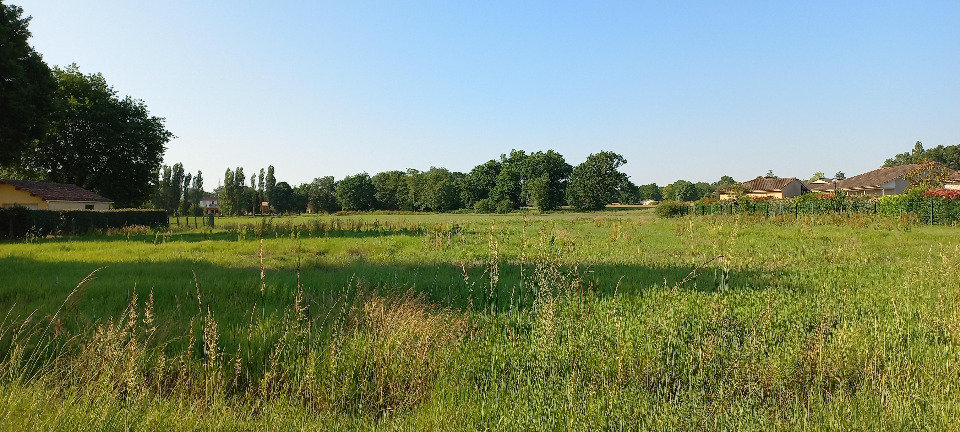  Land in Montpon-Menesterol, France No. 229618