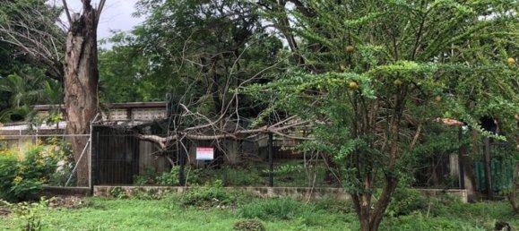  قطعة أرض في Puerto Carrillo, Costa Rica رقم 1578 5