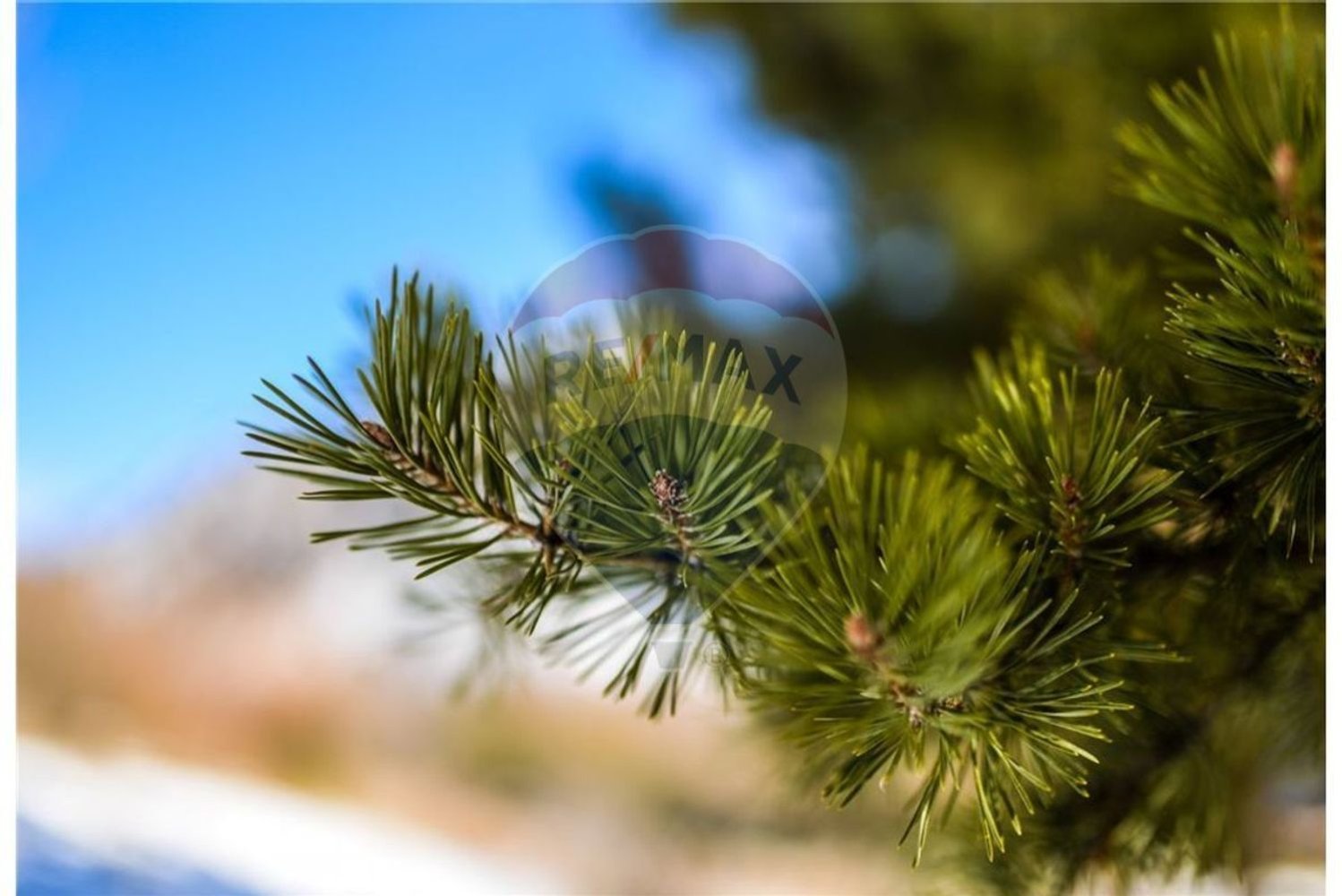 Земельный участок 87360м² в Алкотин, Португалия № 38186