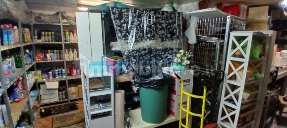 4 rooms Commercial property in Livorno, Italy No. 351309 4