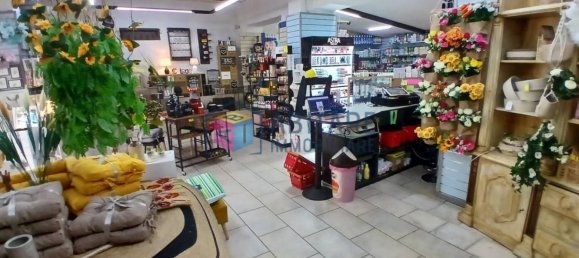 4 rooms Commercial property in Livorno, Italy No. 351309 11