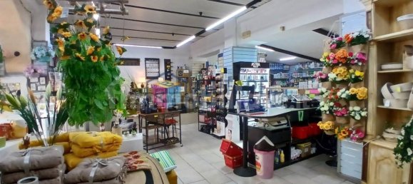 4 rooms Commercial property in Livorno, Italy No. 351309 12