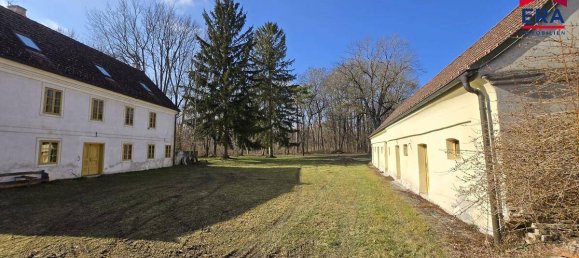 12غرفة منزل في Hauskirchen, Austria رقم 144438 2