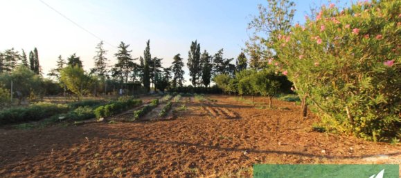 3 bedrooms Villa in Mesagne, Italy No. 294174 36