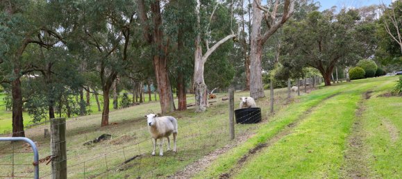 4 bedrooms House in Trafalgar East, Australia No. 467 19