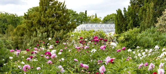 Apartamento de 3 habitaciónes en Schoneberg, Germany No. 55394 13