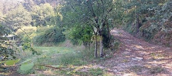 8935m² Land in Amares, Portugal No. 34992 6