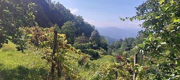 8935m² Land in Amares, Portugal No. 34992 3