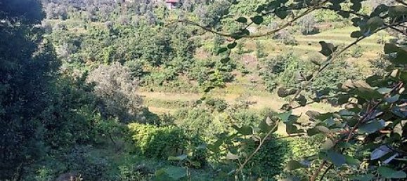 8935m² Land in Amares, Portugal No. 34992 7