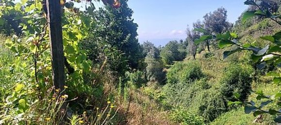 8935m² Land in Amares, Portugal No. 34992 4