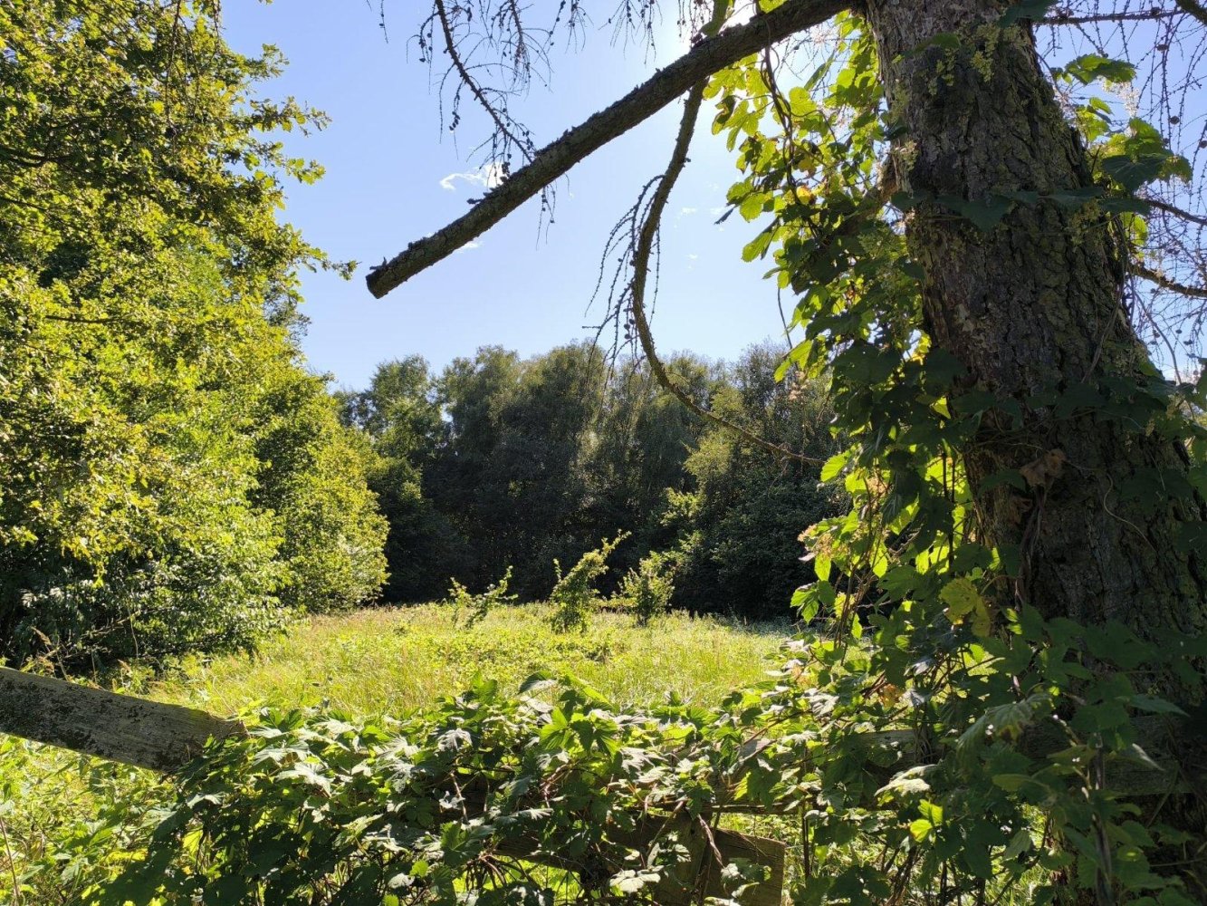  Land in Uckermark, Germany No. 274872