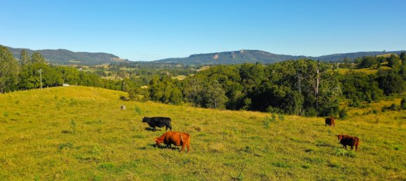 6 bedrooms House in Nimbin, Australia No. 1187 4