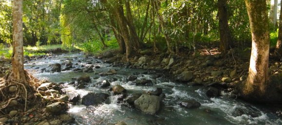 6 bedrooms House in Nimbin, Australia No. 1187 3