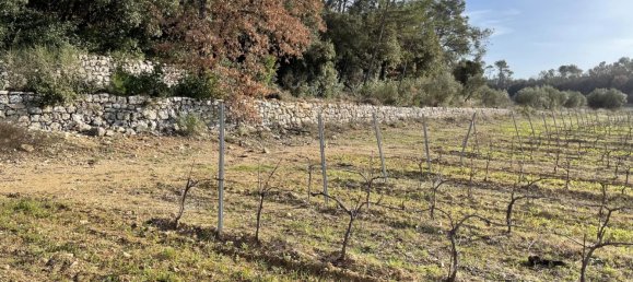 Gewerbliche Immobilie in Puget-Ville, France 1200m², Nr. 1582 16