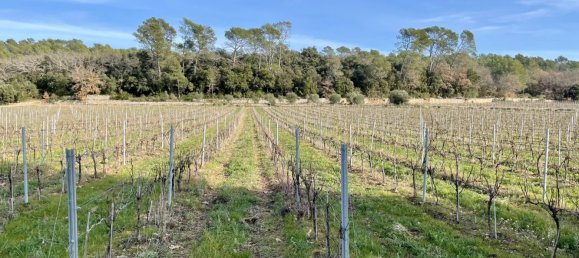 Gewerbliche Immobilie in Puget-Ville, France 1200m², Nr. 1582 14