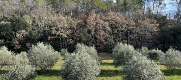 Gewerbliche Immobilie in Puget-Ville, France 1200m², Nr. 1582 3