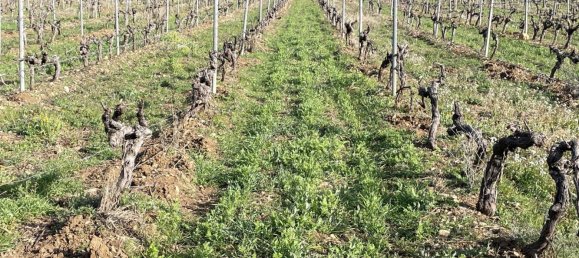 Gewerbliche Immobilie in Puget-Ville, France 1200m², Nr. 1582 13