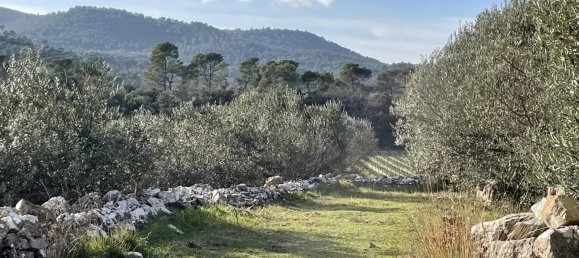 Gewerbliche Immobilie in Puget-Ville, France 1200m², Nr. 1582 2