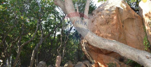 3 chambres Villa à Trinità d'Agultu e Vignola, Italy No. 220300 22