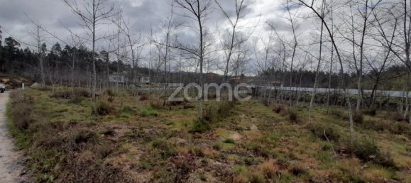 قطعة أرض في Agueda, Portugal 5000متر مربع رقم 74062 6