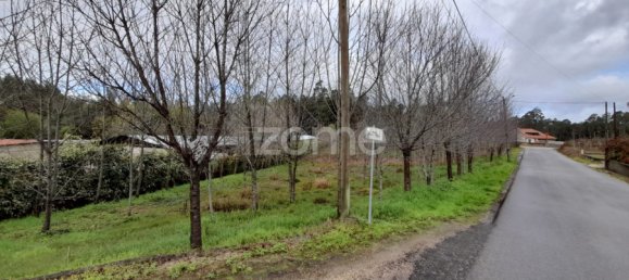 قطعة أرض في Agueda, Portugal 5000متر مربع رقم 74062 5