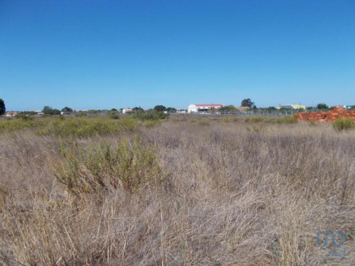 Terrain à Palmela, Portugal No. 8502