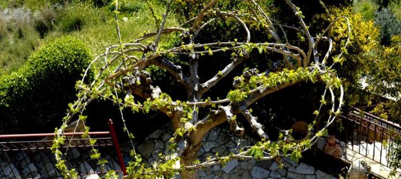 4 bedrooms Villa in Corinthia, Greece No. 6373 6